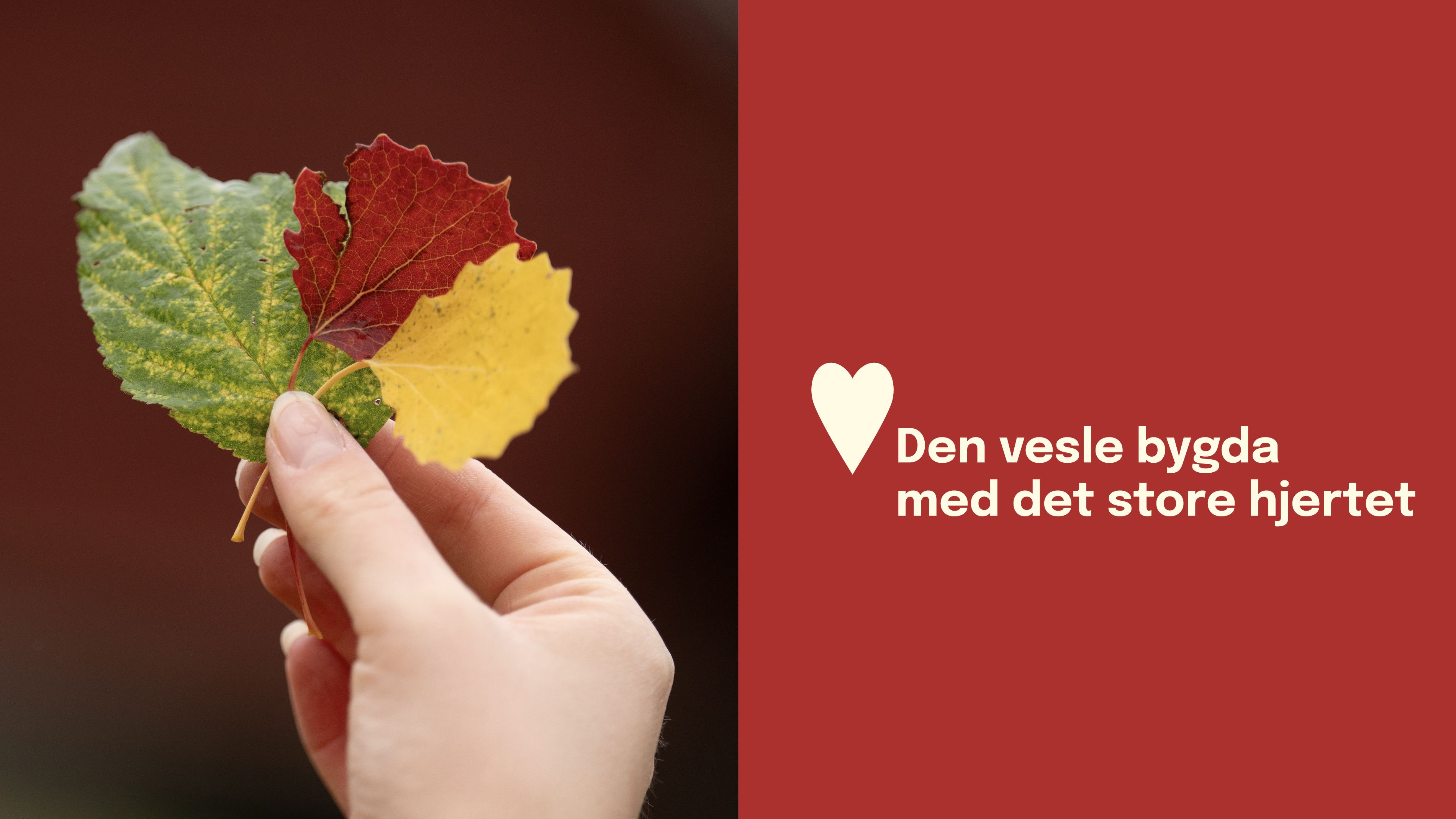 Rollag kommune Helse og omsorg